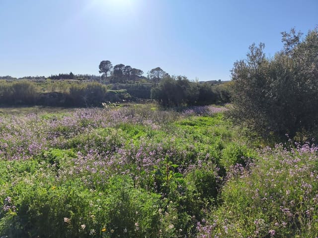 Grond te koop in Calasparra - € 17.000 (Ref: 9991262)