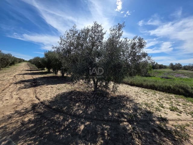 Grond te koop in Calasparra - € 29.000 (Ref: 9991276)
