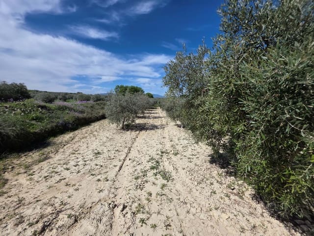 Grond te koop in Calasparra - € 29.000 (Ref: 9991276)