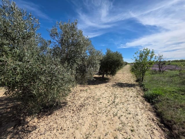 Grond te koop in Calasparra - € 29.000 (Ref: 9991276)