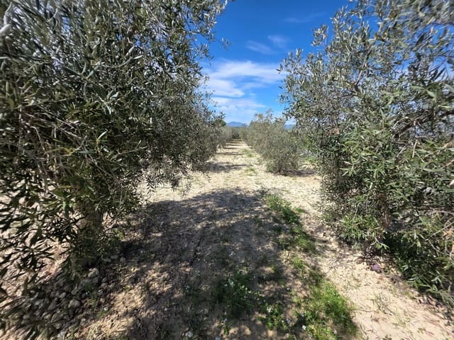 Grond te koop in Calasparra - € 29.000 (Ref: 9991276)