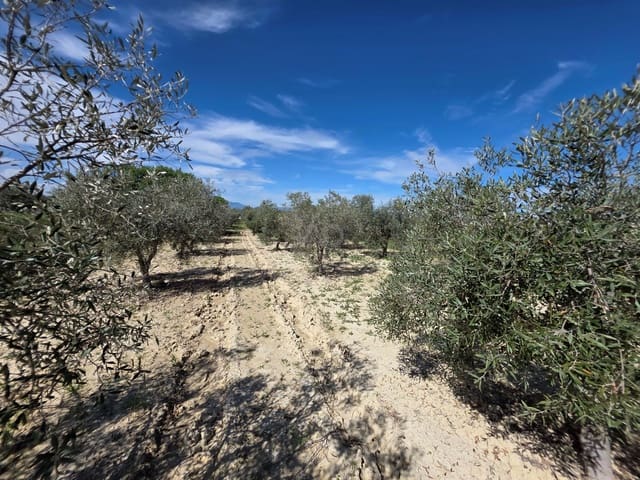 Grond te koop in Calasparra - € 29.000 (Ref: 9991276)