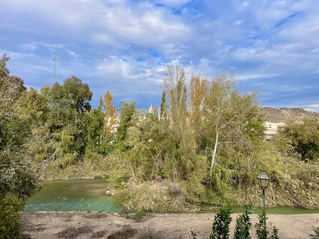 6 bedroom Townhouse for sale in Abarán - € 145,000 (Ref: 9991278)