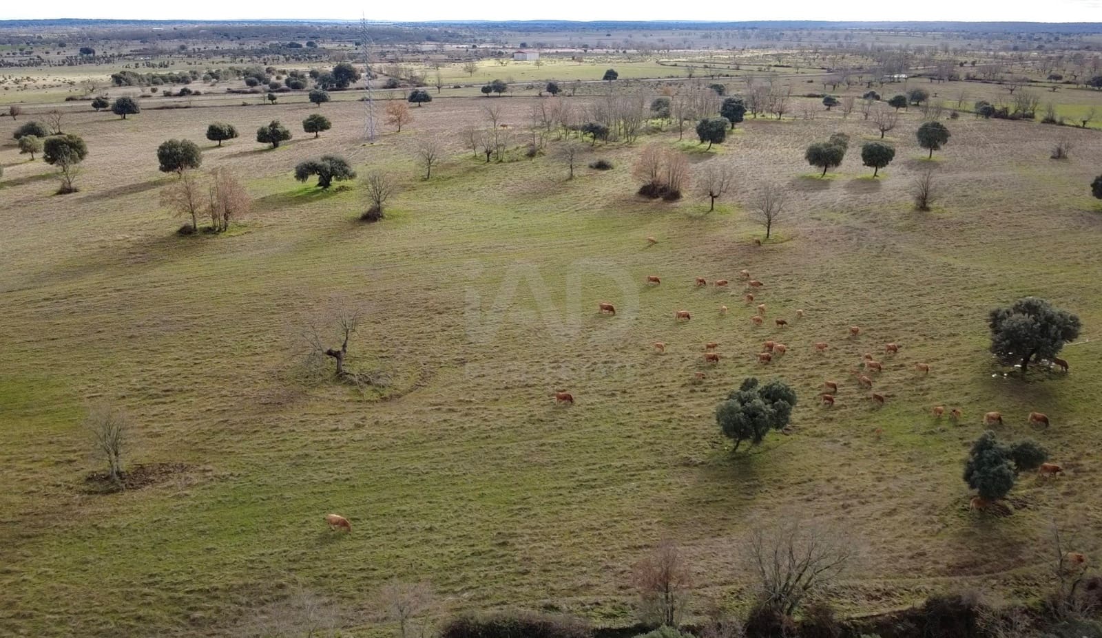 Terreno Non Edificato in vendita in Salamanca citta - 6.999.900 € (Rif: 9991284)