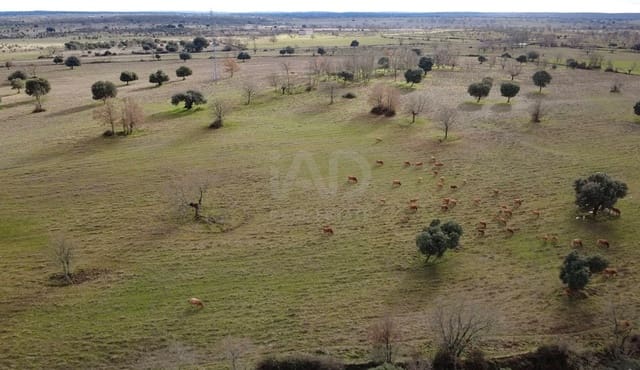 Terreno Non Edificato in vendita in Salamanca città - 6.999.900 € (Rif: 9991284)