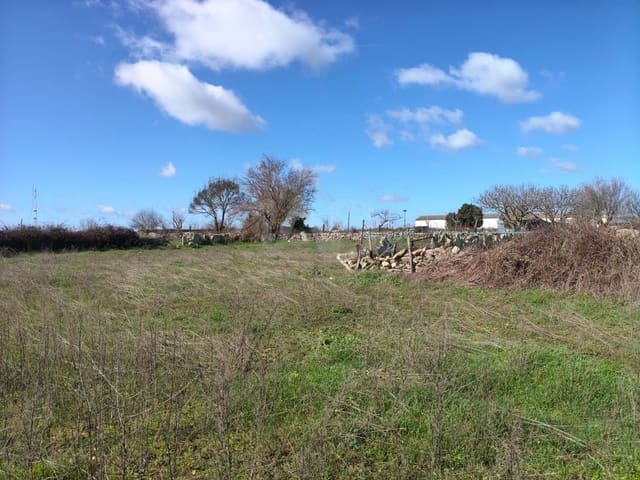 Terreno Non Edificato in vendita in Salamanca città - 9.900 € (Rif: 9991293)