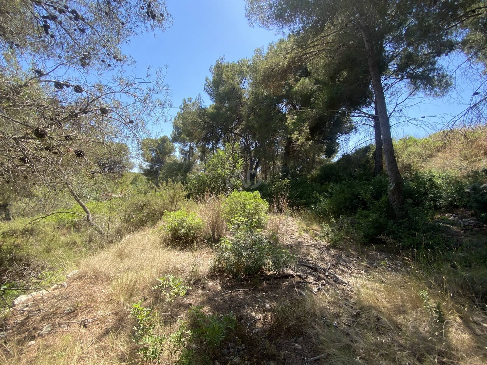 Bauplatz zu verkaufen in Tarragona Stadt - 80.000 € (Ref: 9991295)