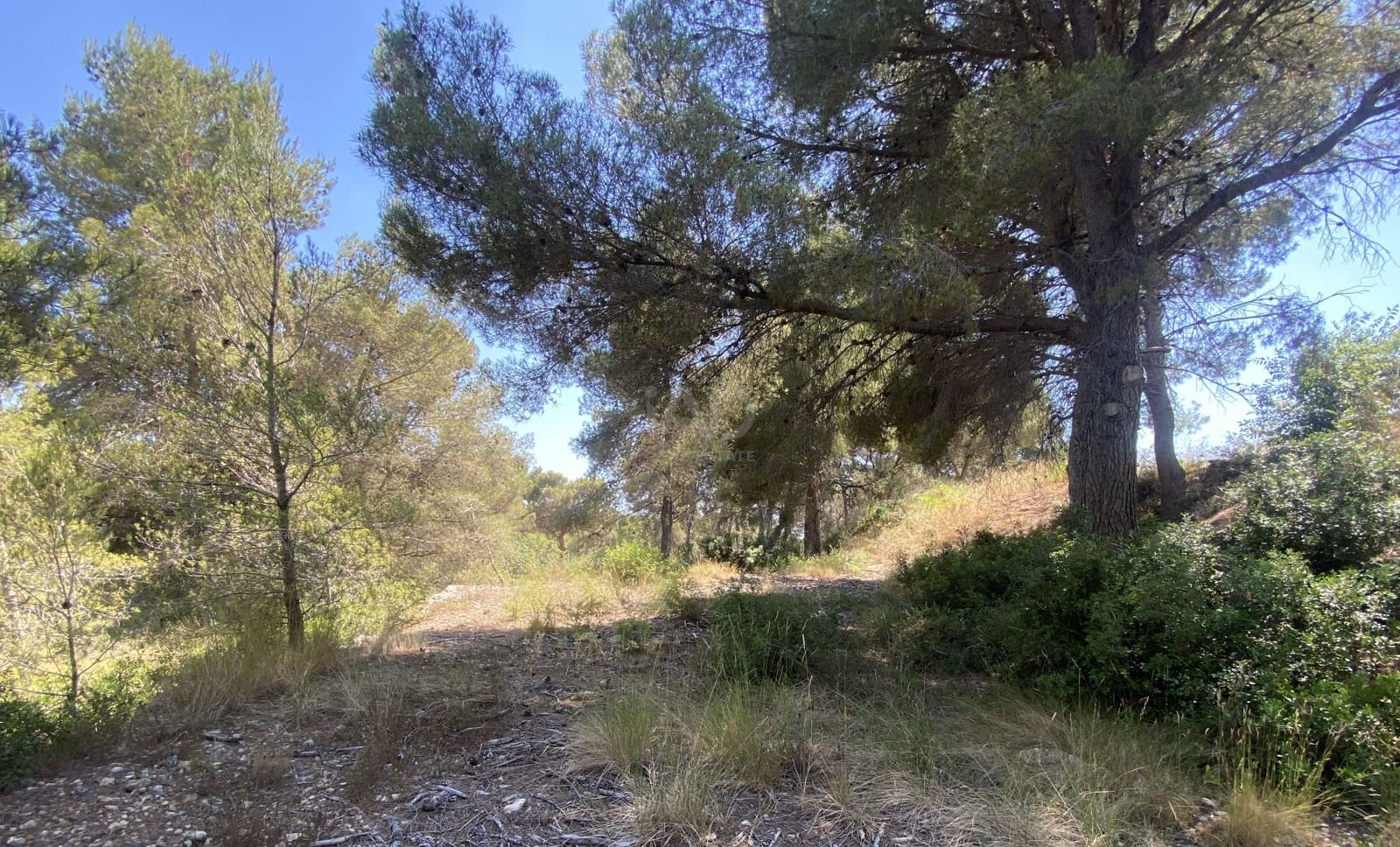 Bauplatz zu verkaufen in Tarragona Stadt - 80.000 € (Ref: 9991295)