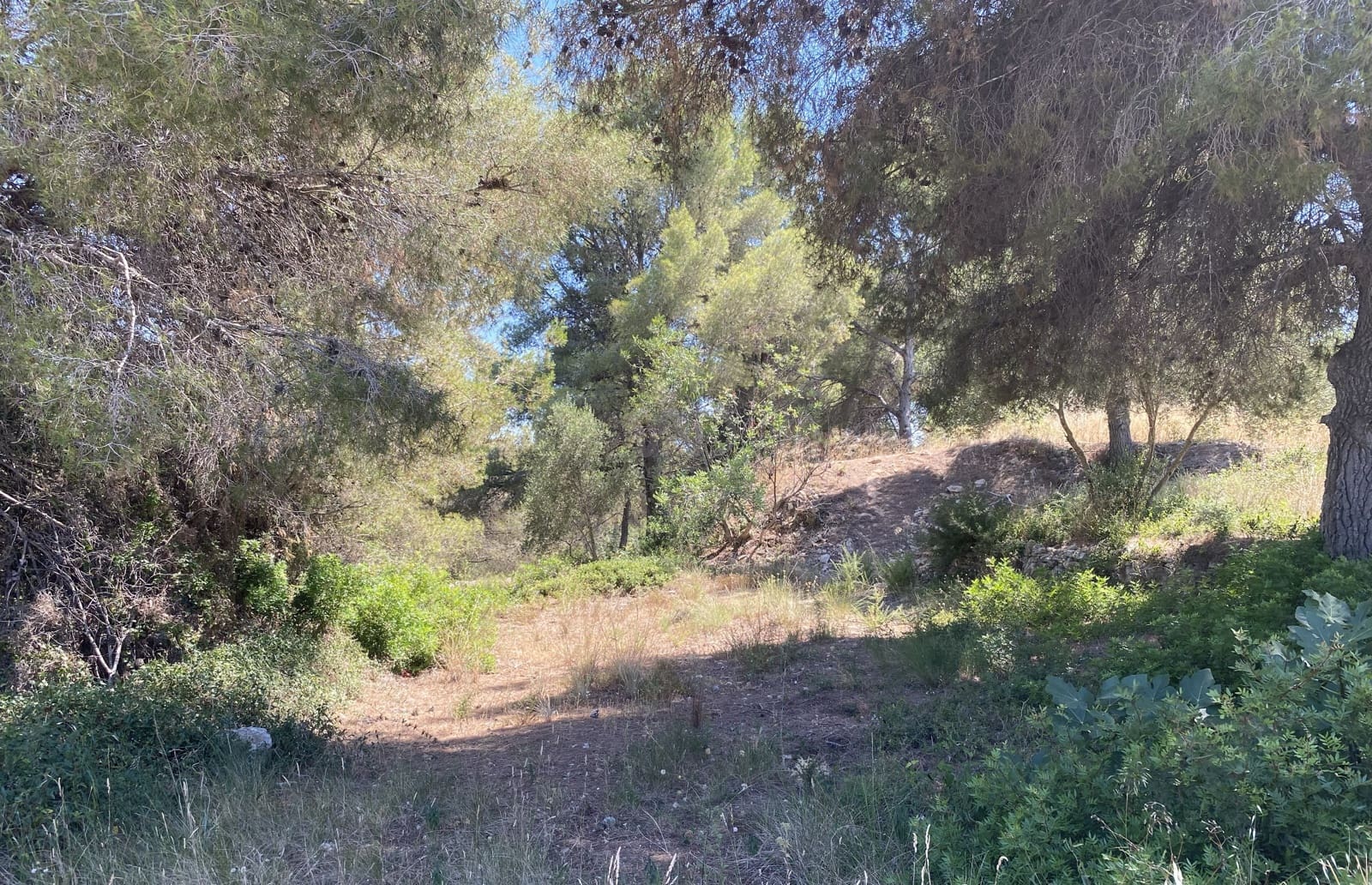Bauplatz zu verkaufen in Tarragona Stadt - 80.000 € (Ref: 9991295)