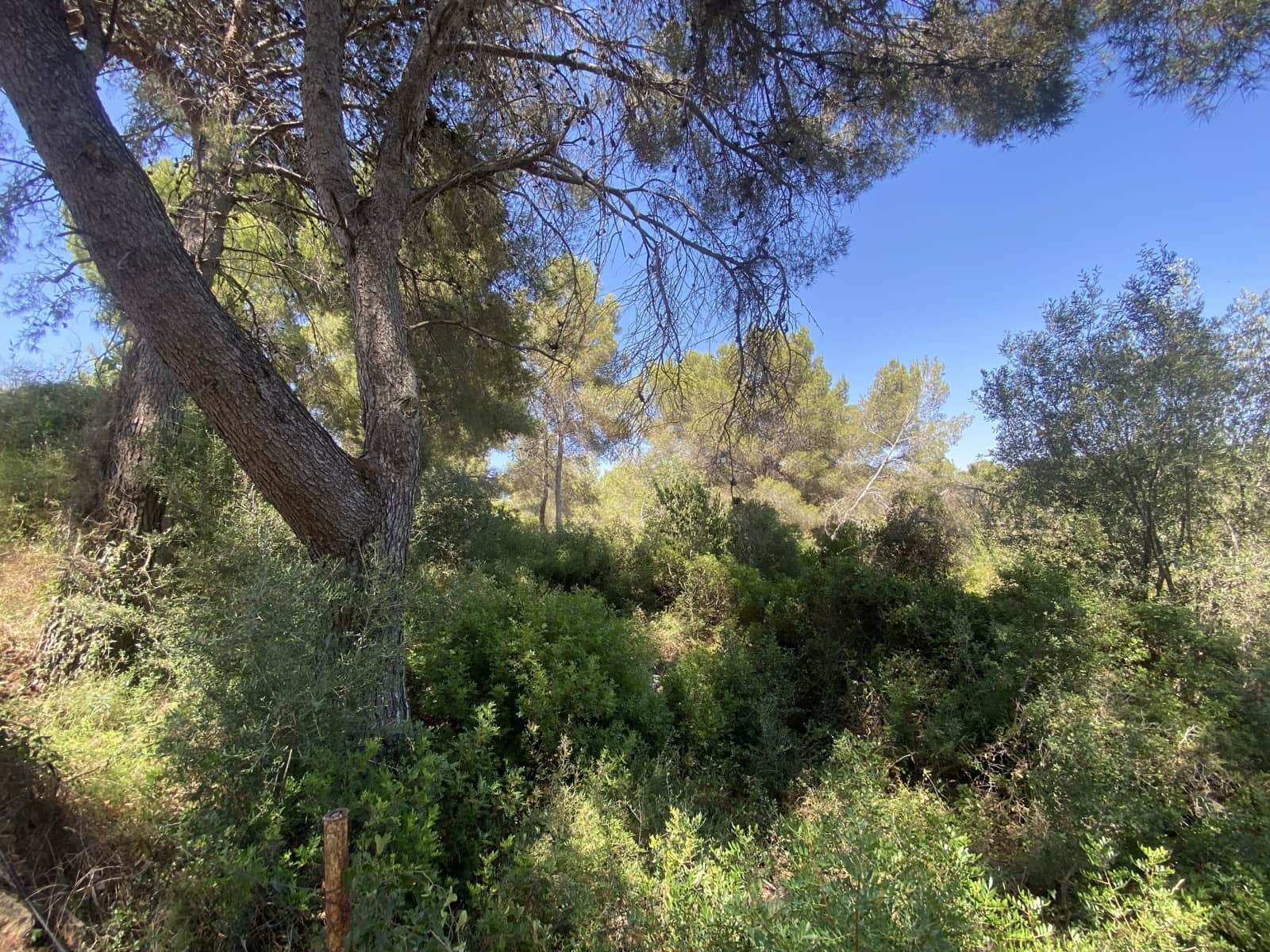 Bauplatz zu verkaufen in Tarragona Stadt - 80.000 € (Ref: 9991295)