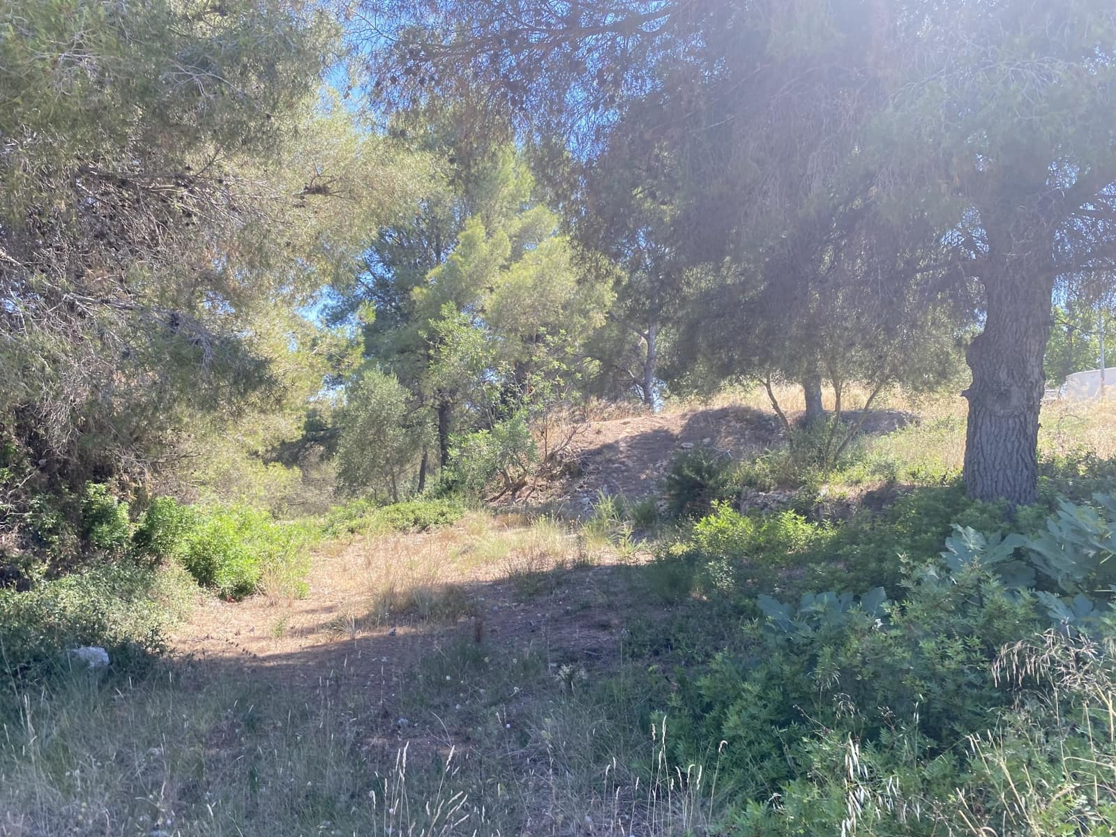 Bauplatz zu verkaufen in Tarragona Stadt - 80.000 € (Ref: 9991295)