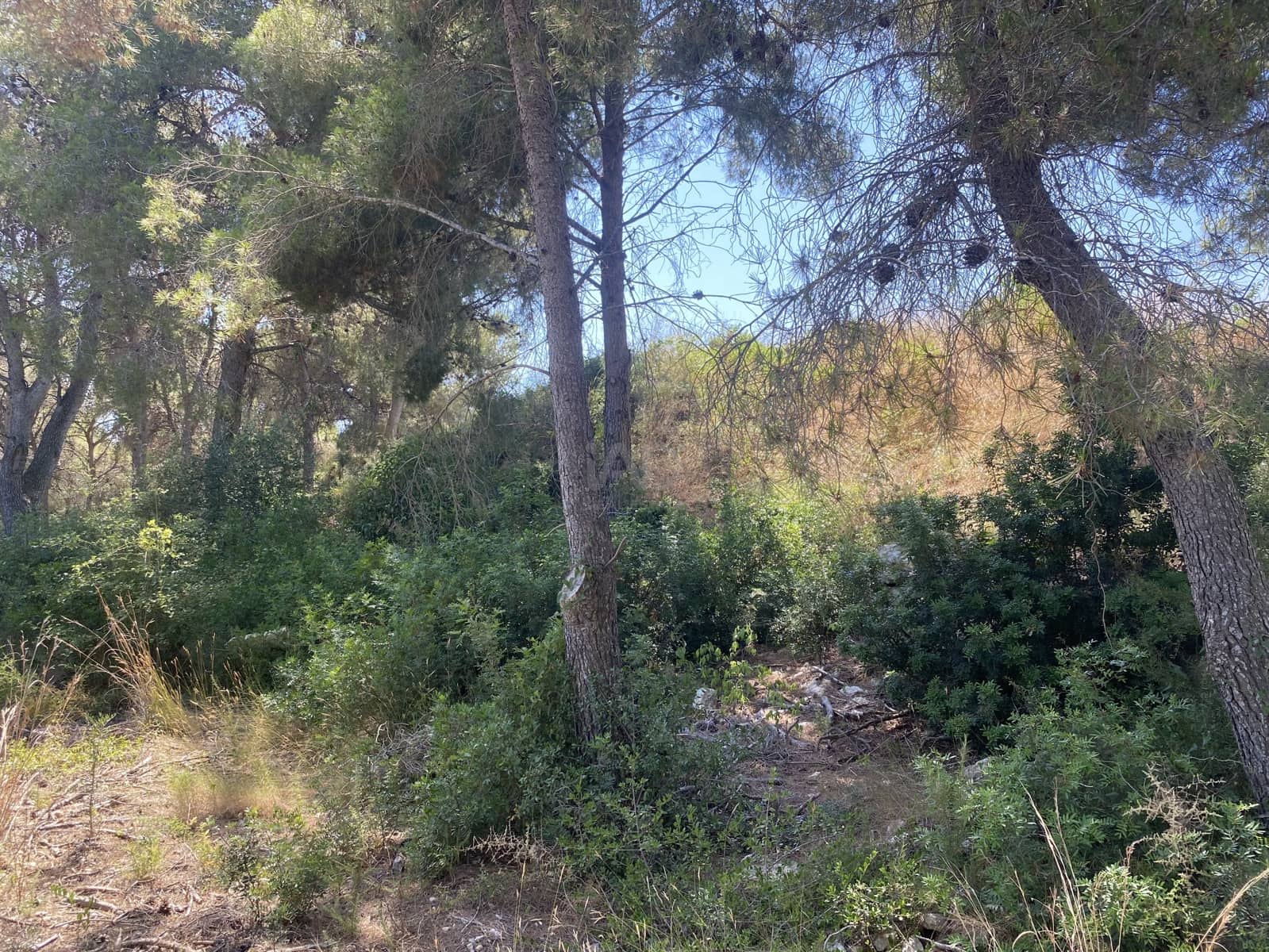 Bauplatz zu verkaufen in Tarragona Stadt - 80.000 € (Ref: 9991295)