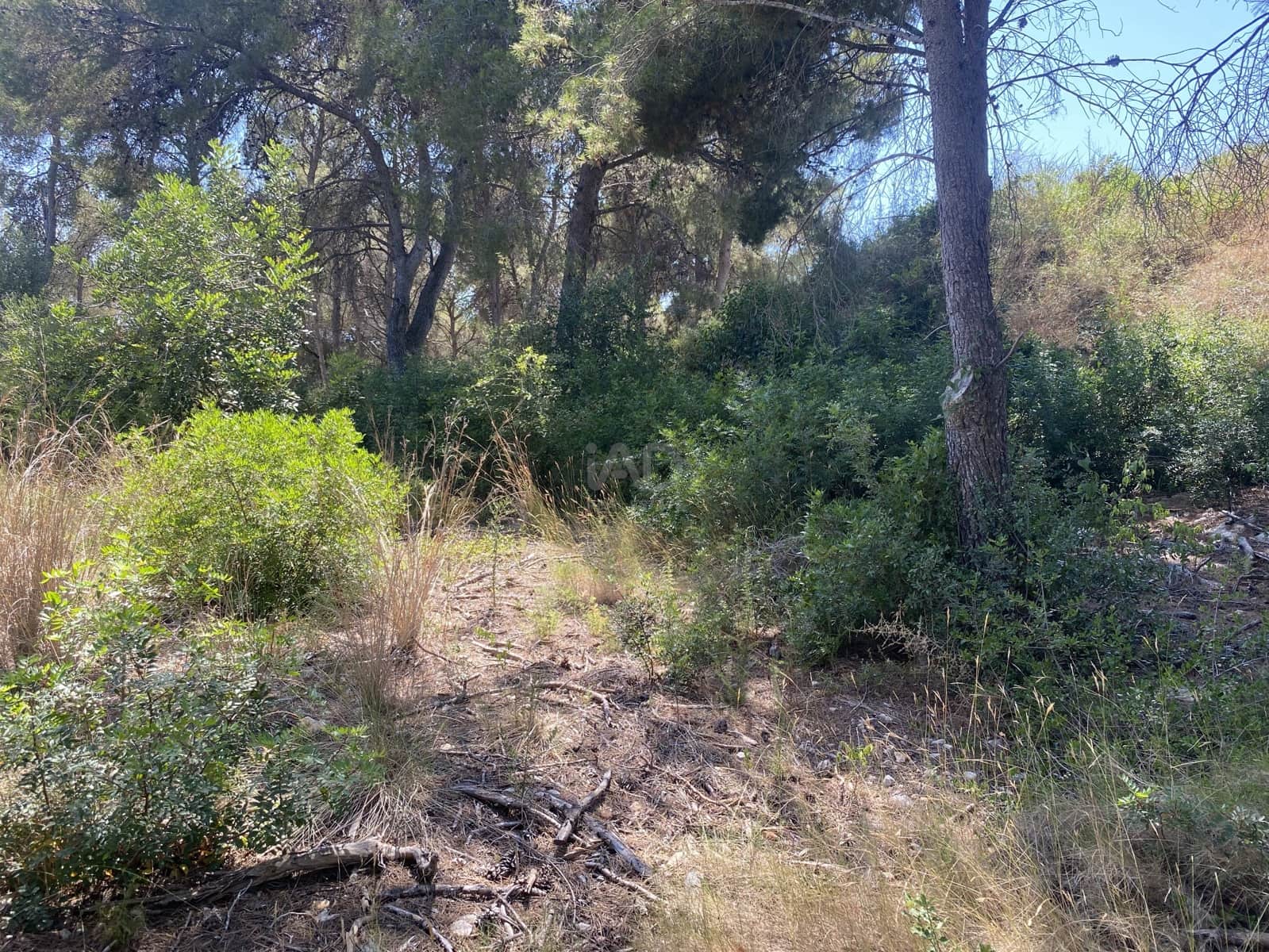 Bauplatz zu verkaufen in Tarragona Stadt - 80.000 € (Ref: 9991295)