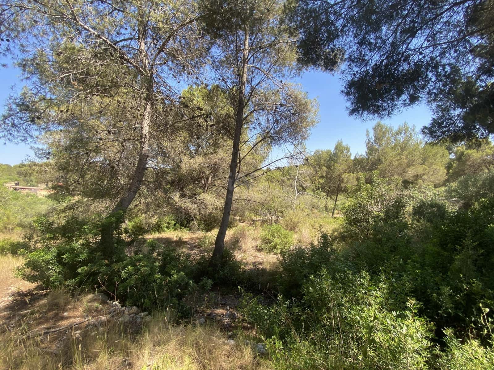 Bauplatz zu verkaufen in Tarragona Stadt - 80.000 € (Ref: 9991295)