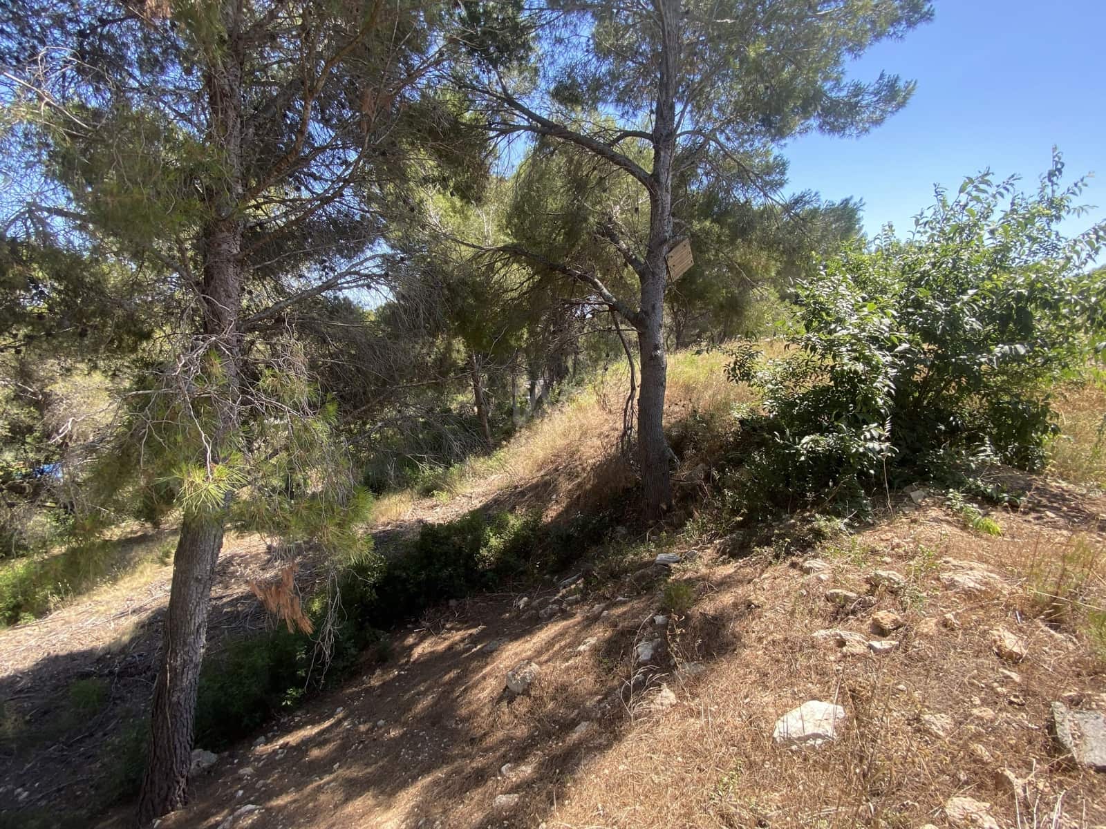 Bauplatz zu verkaufen in Tarragona Stadt - 80.000 € (Ref: 9991295)