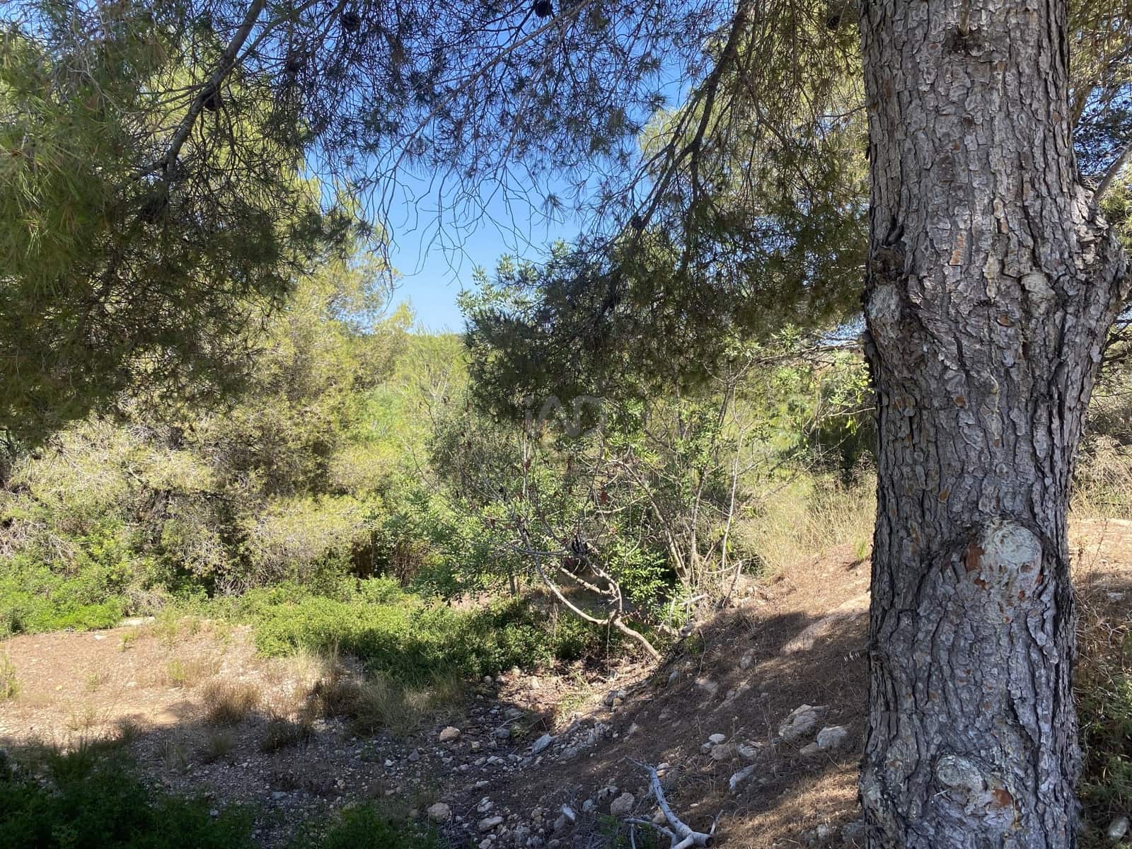 Bauplatz zu verkaufen in Tarragona Stadt - 80.000 € (Ref: 9991295)