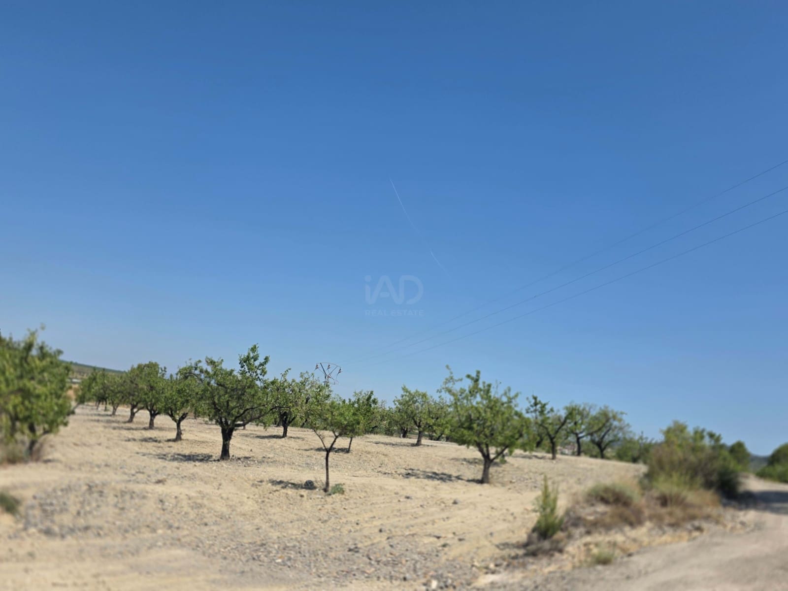 Grond te koop in Calasparra - € 400.000 (Ref: 9991296)