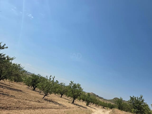 Grond te koop in Calasparra - € 400.000 (Ref: 9991296)