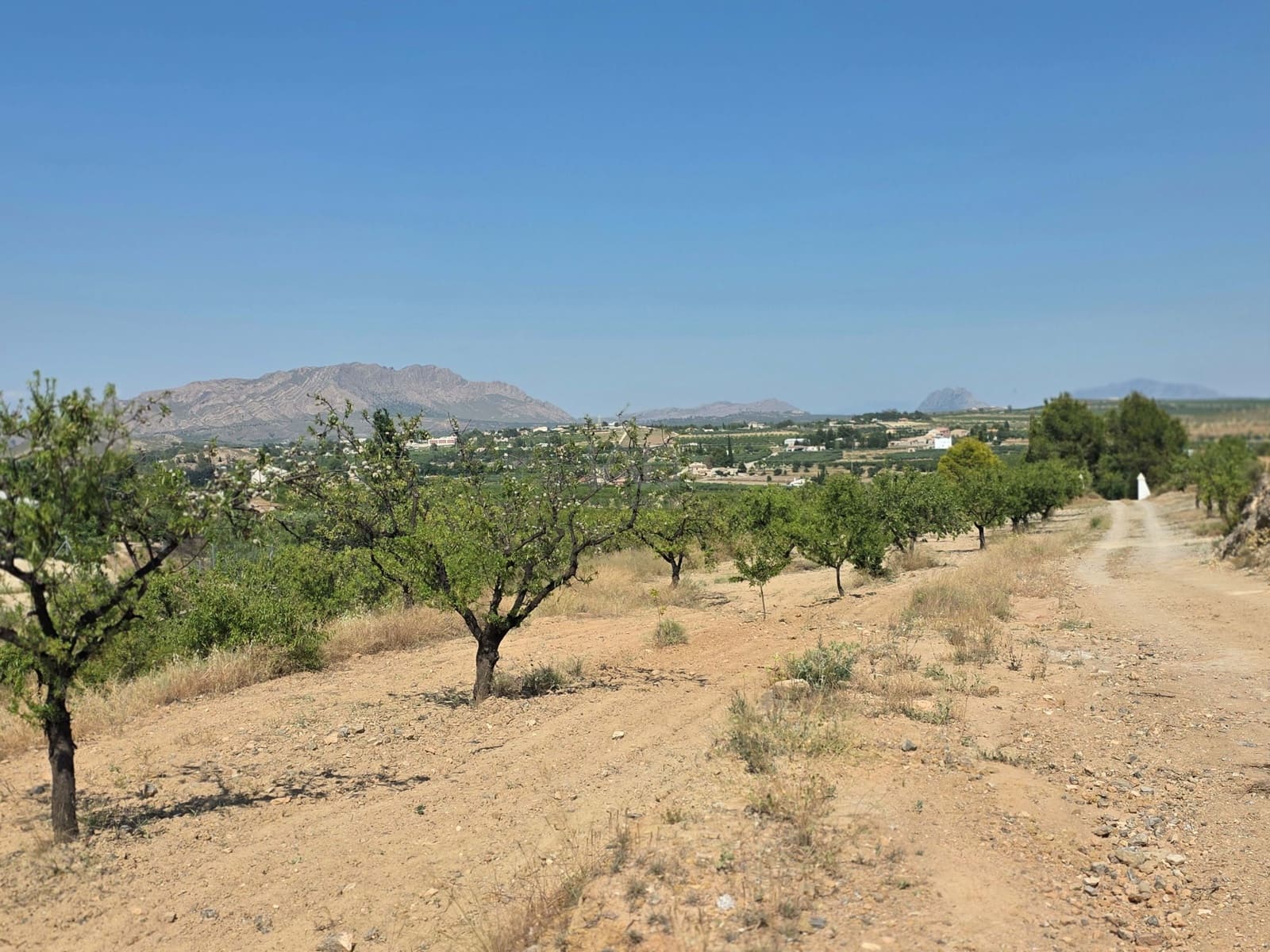 Grond te koop in Calasparra - € 400.000 (Ref: 9991296)