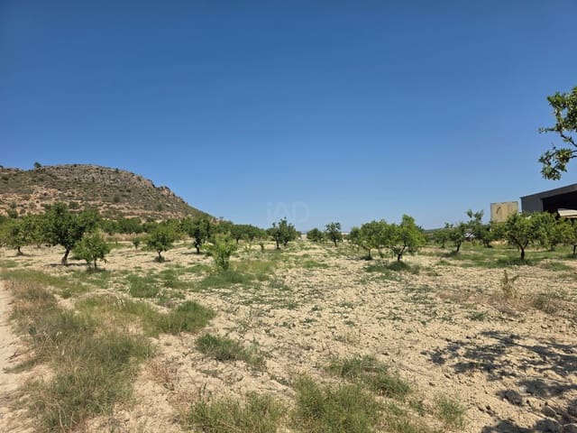 Grond te koop in Calasparra - € 400.000 (Ref: 9991296)