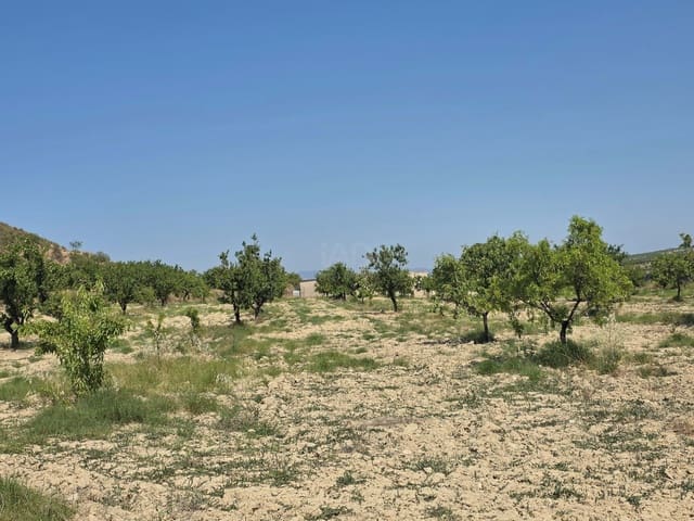 Grond te koop in Calasparra - € 400.000 (Ref: 9991296)