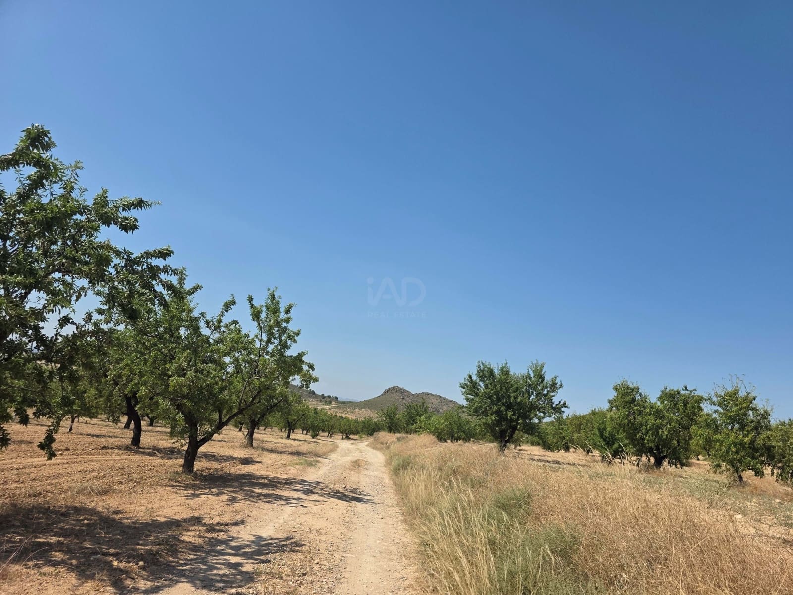 Grond te koop in Calasparra - € 400.000 (Ref: 9991296)