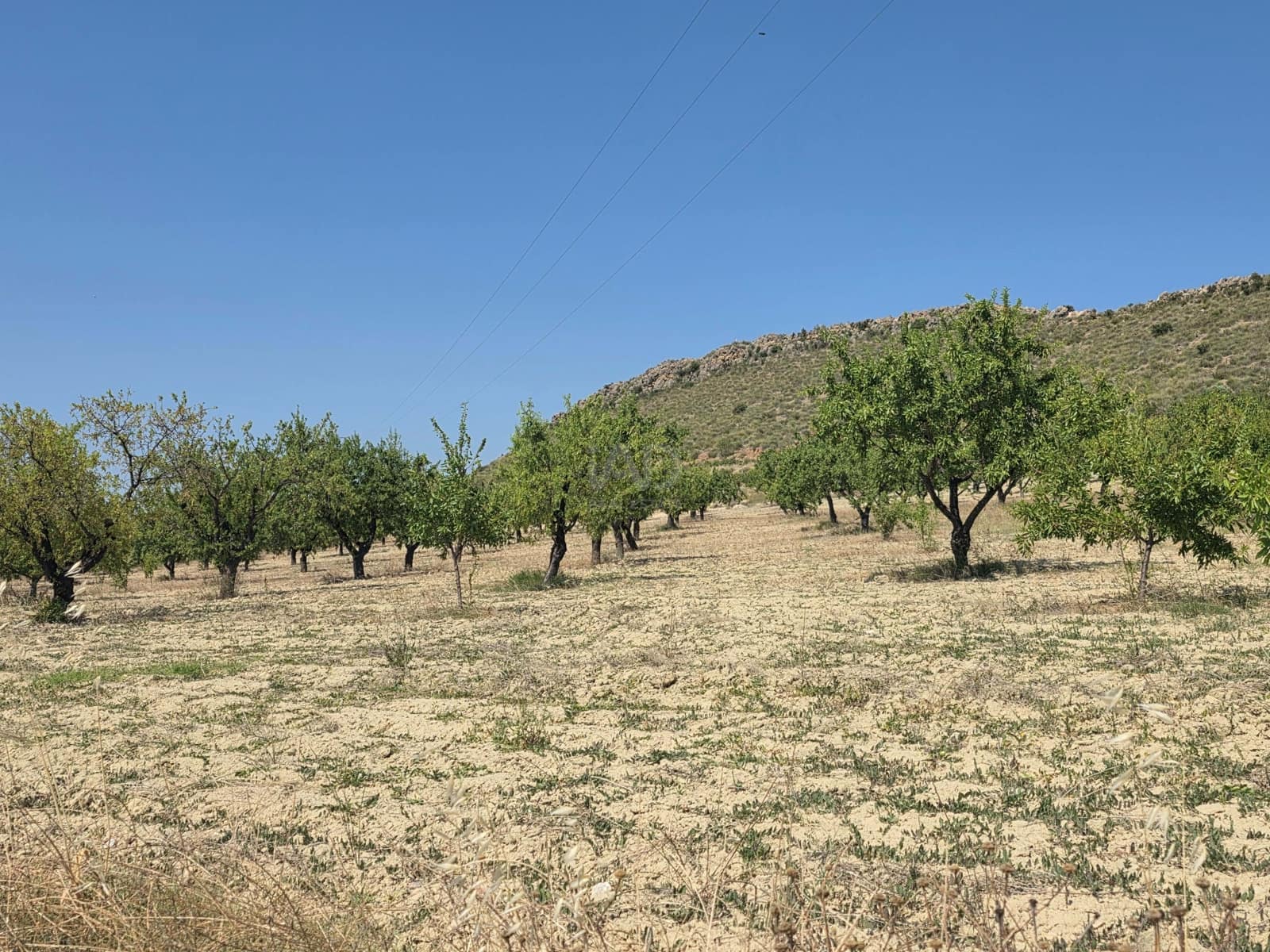 Grond te koop in Calasparra - € 400.000 (Ref: 9991296)