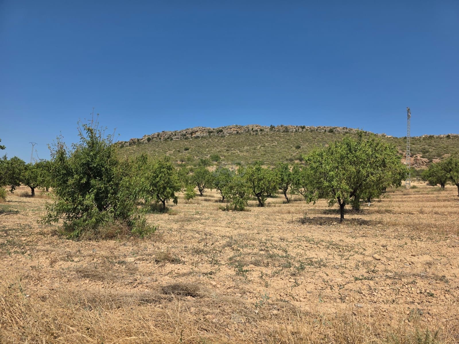 Grond te koop in Calasparra - € 400.000 (Ref: 9991296)