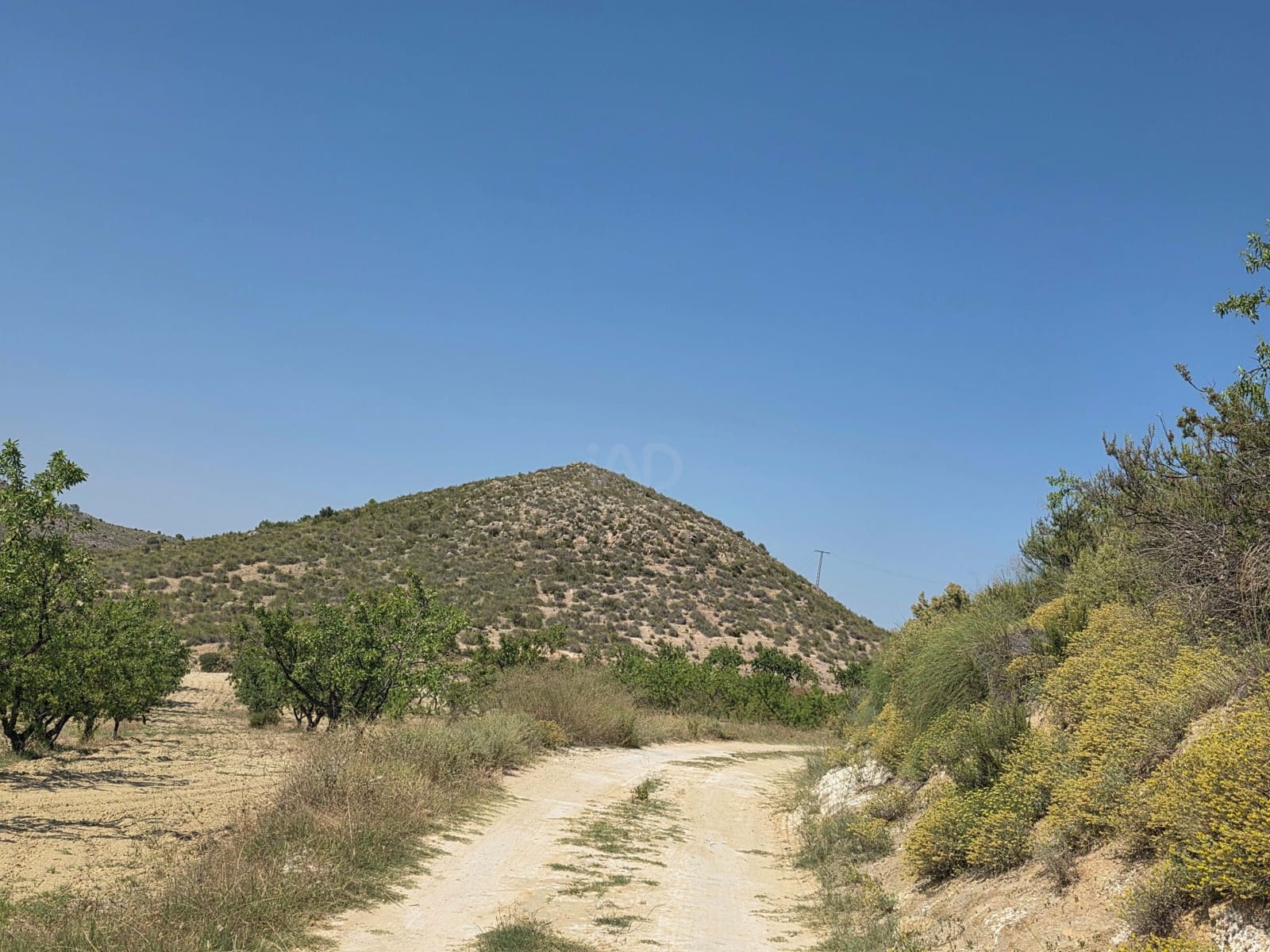 Grond te koop in Calasparra - € 400.000 (Ref: 9991296)