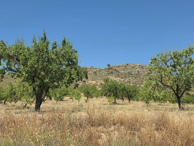 Grond te koop in Calasparra - € 400.000 (Ref: 9991296)