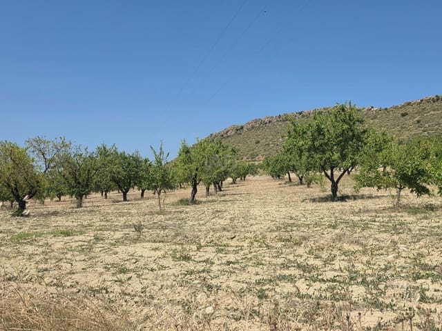 Grond te koop in Calasparra - € 400.000 (Ref: 9991296)