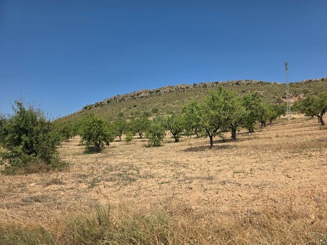Grond te koop in Calasparra - € 400.000 (Ref: 9991296)