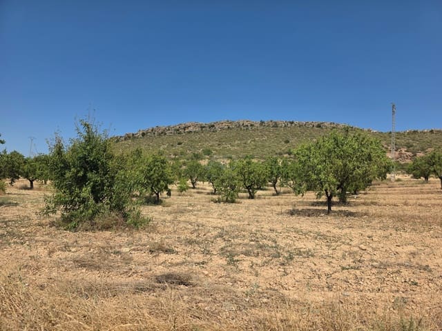 Grond te koop in Calasparra - € 400.000 (Ref: 9991296)
