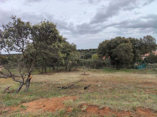 Area Edificabile in vendita in Carrascal de Barregas - 19.000 € (Rif: 9991306)