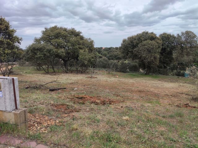 Area Edificabile in vendita in Carrascal de Barregas - 19.000 € (Rif: 9991306)