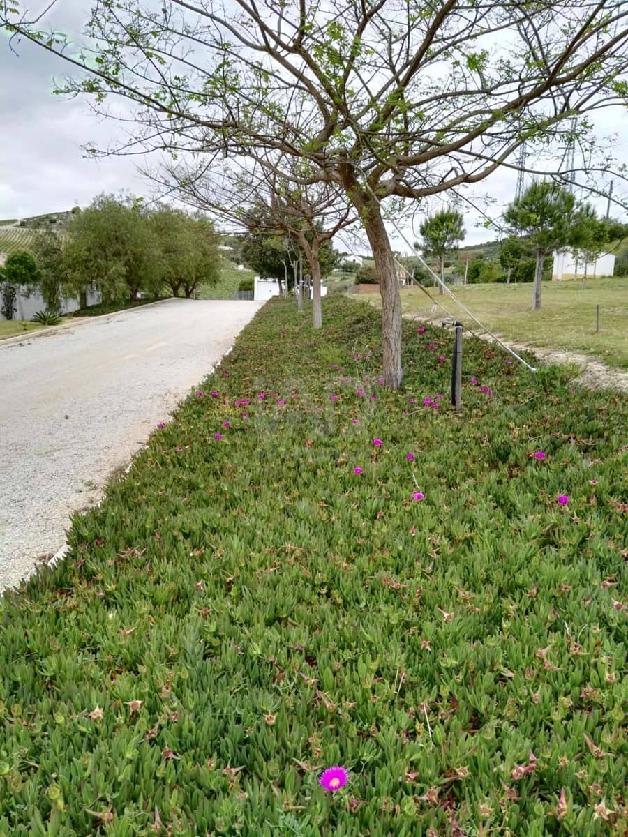Grond te koop in Cadiz stad - € 570.000 (Ref: 9991311)