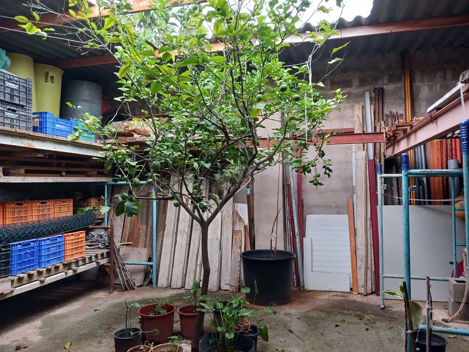 Area Edificabile in vendita in Nules - 65.000 € (Rif: 9991312)