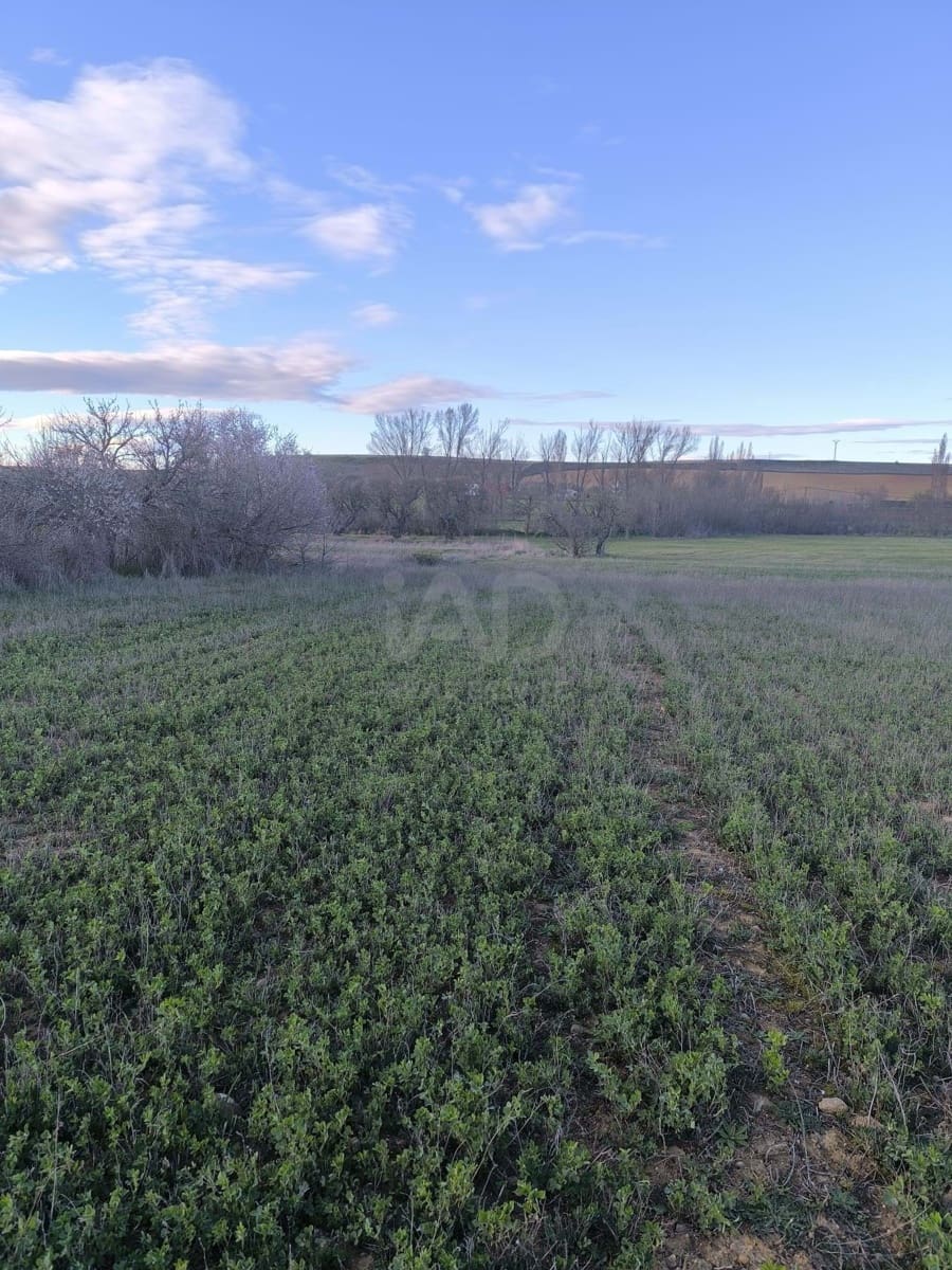 Undeveloped Land for sale in Leon city - € 15,900 (Ref: 9991314)