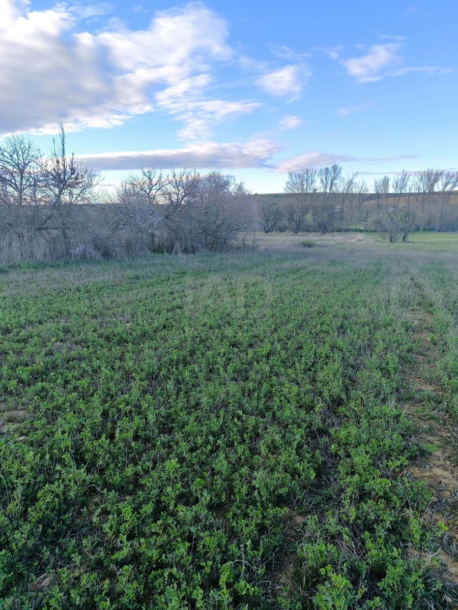 Undeveloped Land for sale in Leon city - € 15,900 (Ref: 9991314)