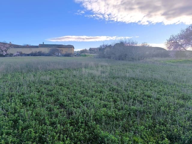 Undeveloped Land for sale in León city - € 15,900 (Ref: 9991314)