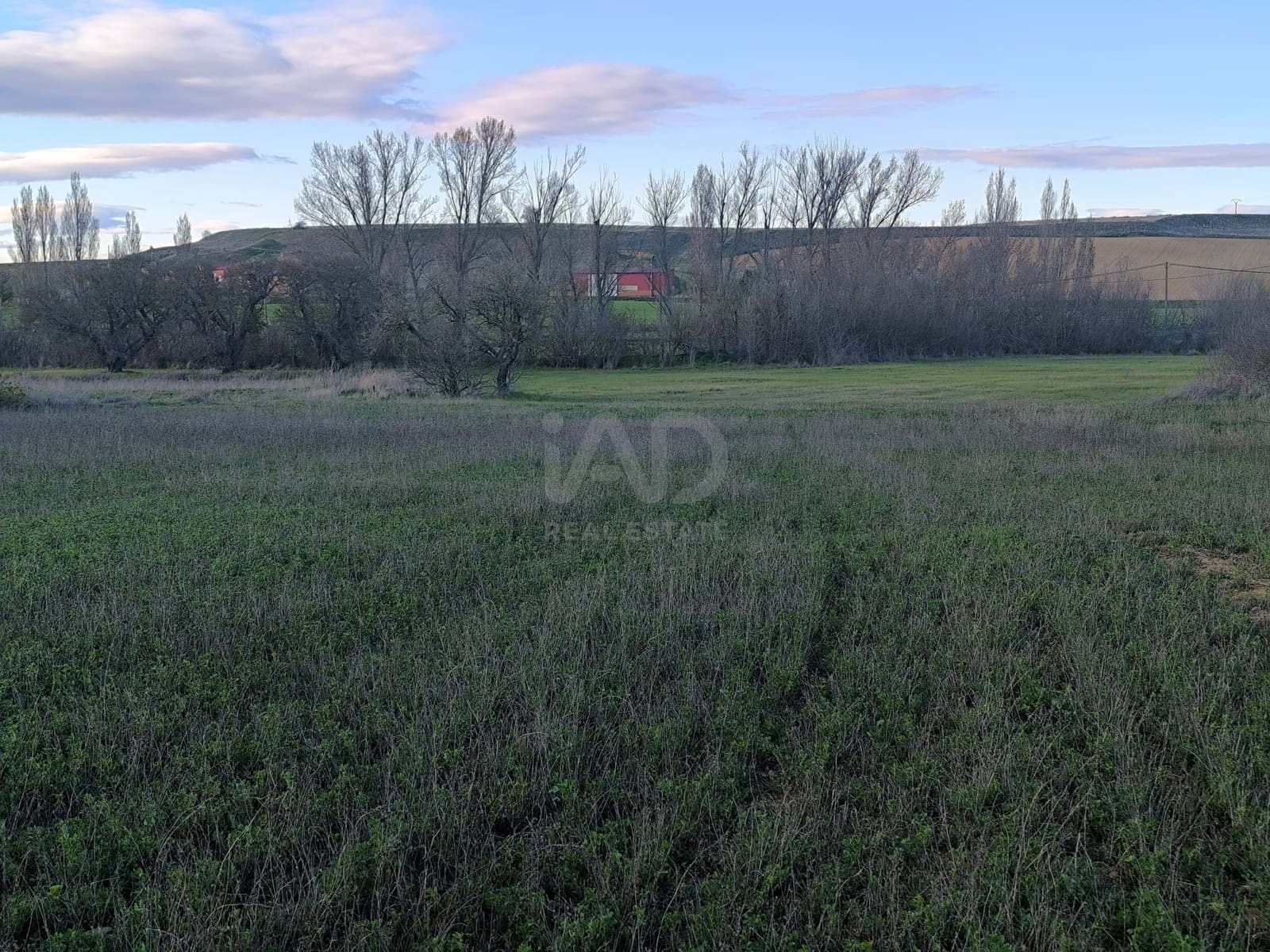 Undeveloped Land for sale in Leon city - € 15,900 (Ref: 9991314)