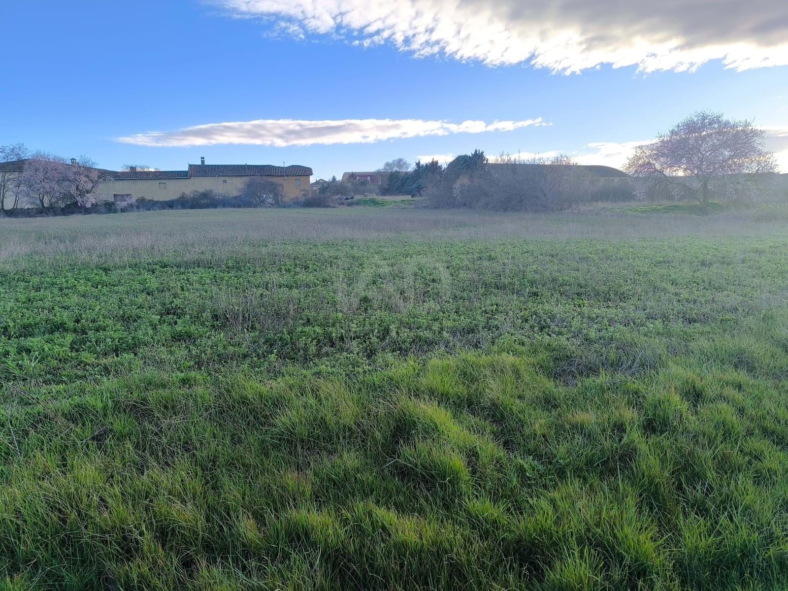 Undeveloped Land for sale in Leon city - € 15,900 (Ref: 9991314)