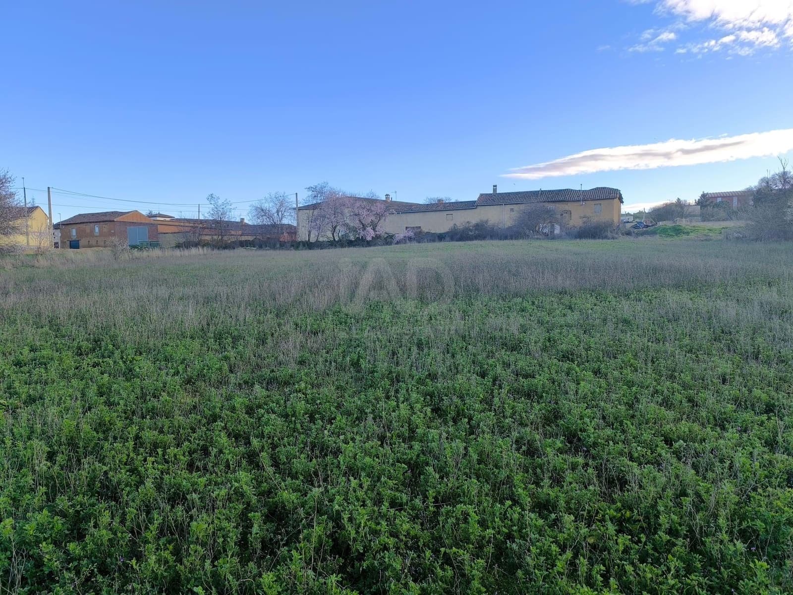 Undeveloped Land for sale in Leon city - € 15,900 (Ref: 9991314)