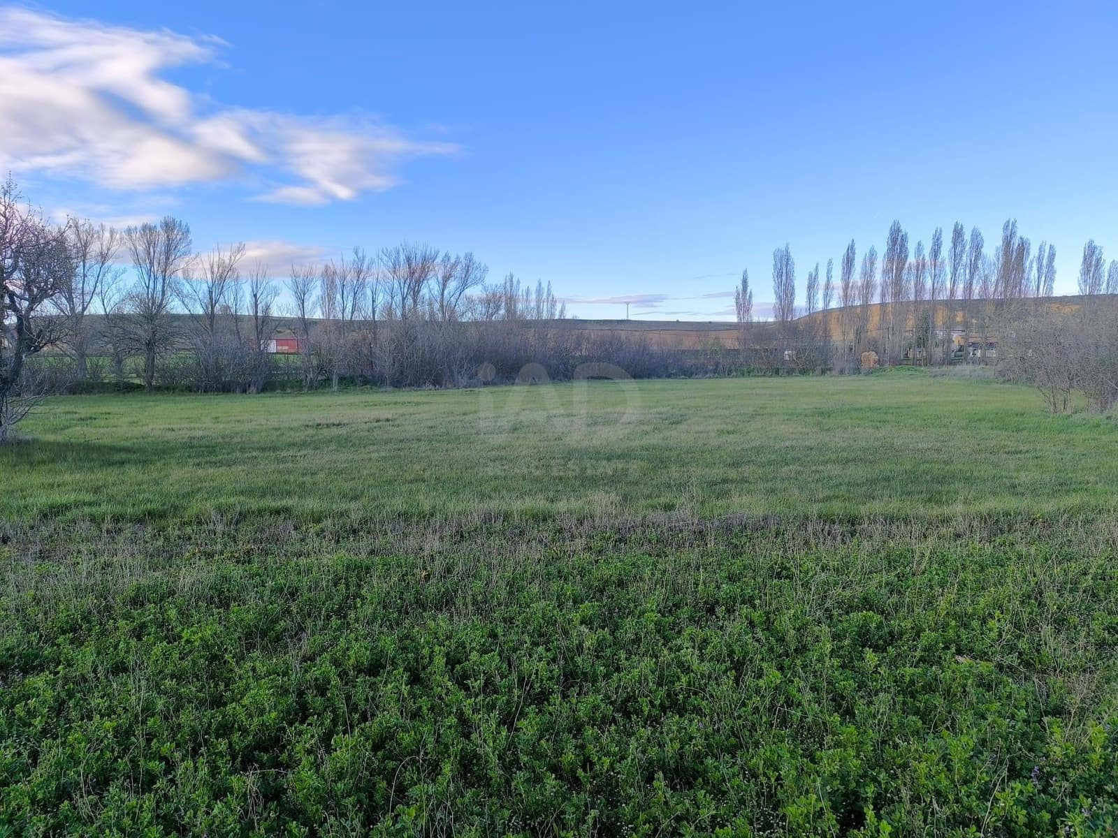 Undeveloped Land for sale in Leon city - € 15,900 (Ref: 9991314)
