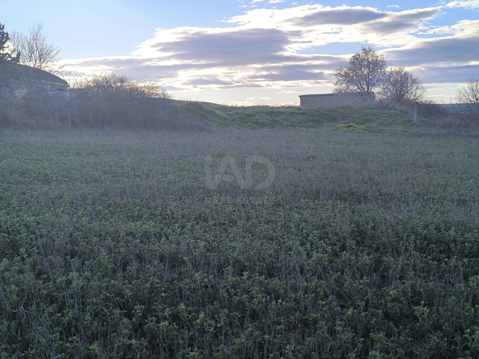 Undeveloped Land for sale in Leon city - € 15,900 (Ref: 9991314)