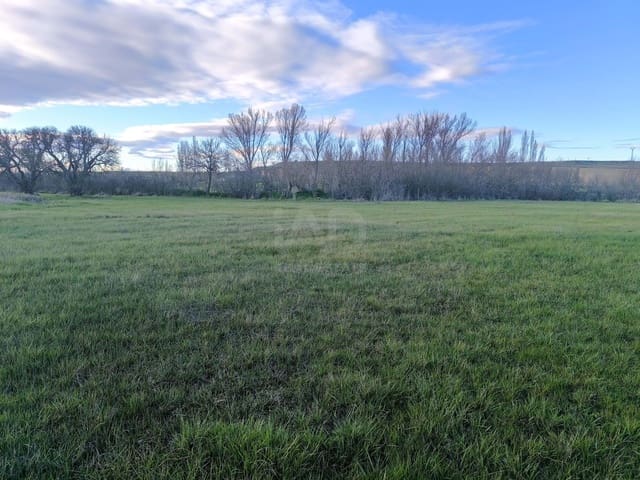 Undeveloped Land for sale in León city - € 15,900 (Ref: 9991314)