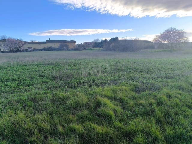 Undeveloped Land for sale in León city - € 15,900 (Ref: 9991314)