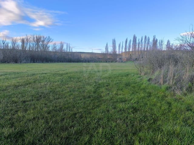 Undeveloped Land for sale in León city - € 15,900 (Ref: 9991314)