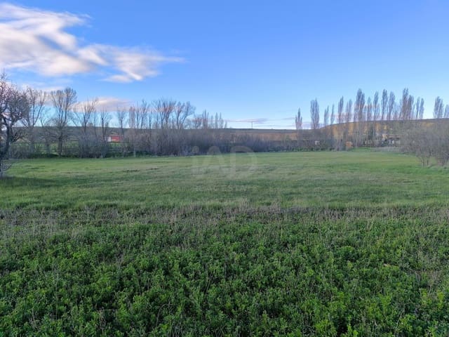 Undeveloped Land for sale in León city - € 15,900 (Ref: 9991314)
