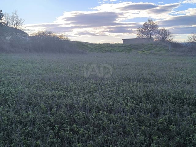Undeveloped Land for sale in León city - € 15,900 (Ref: 9991314)